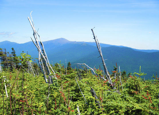 Hiking Mount Field Whitefield NH New Hampshire Willey Range 4000 Footers